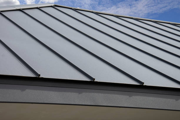 Professional Roofing Services in Sutton Alpine, AK